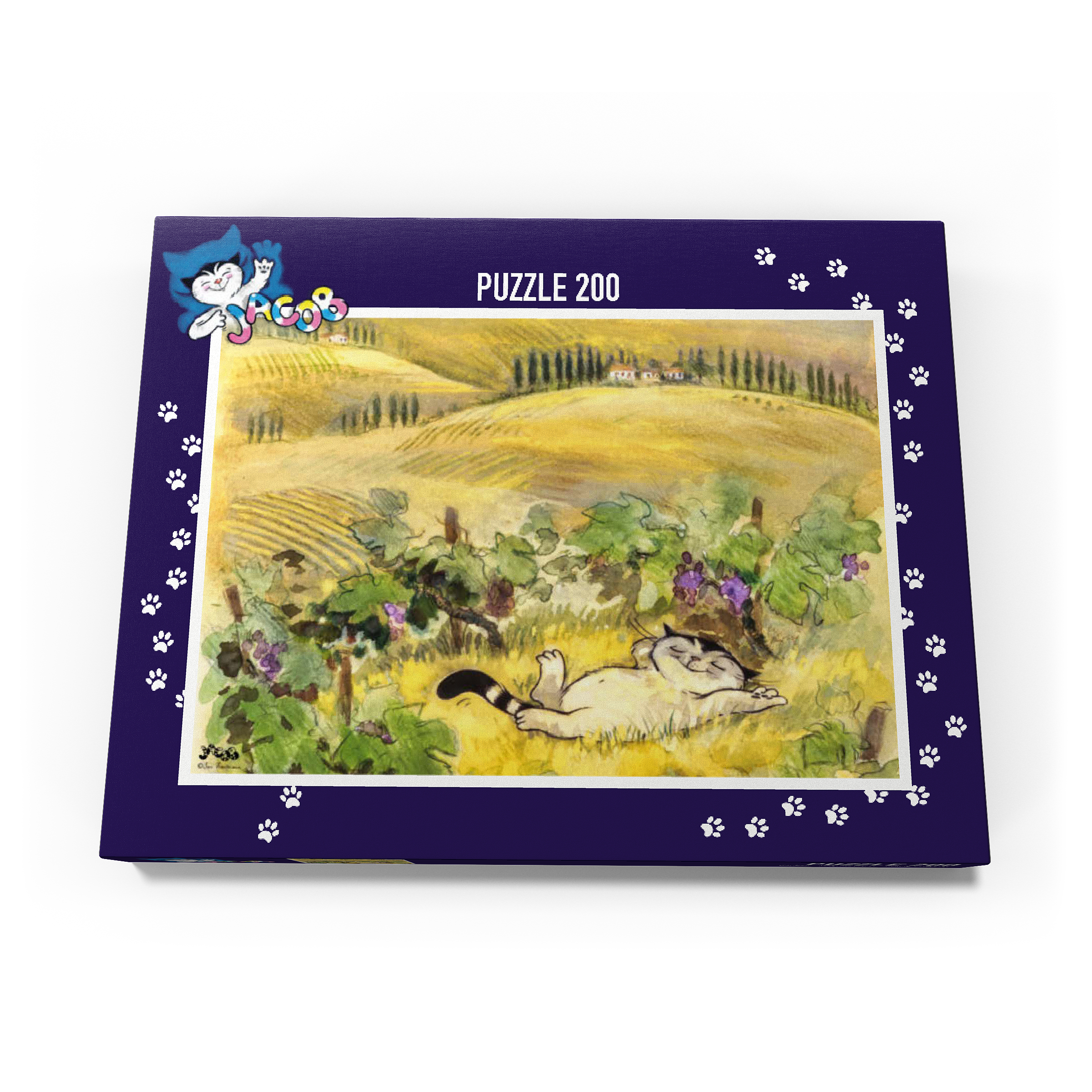 Puzzle Jacob - Break must be!