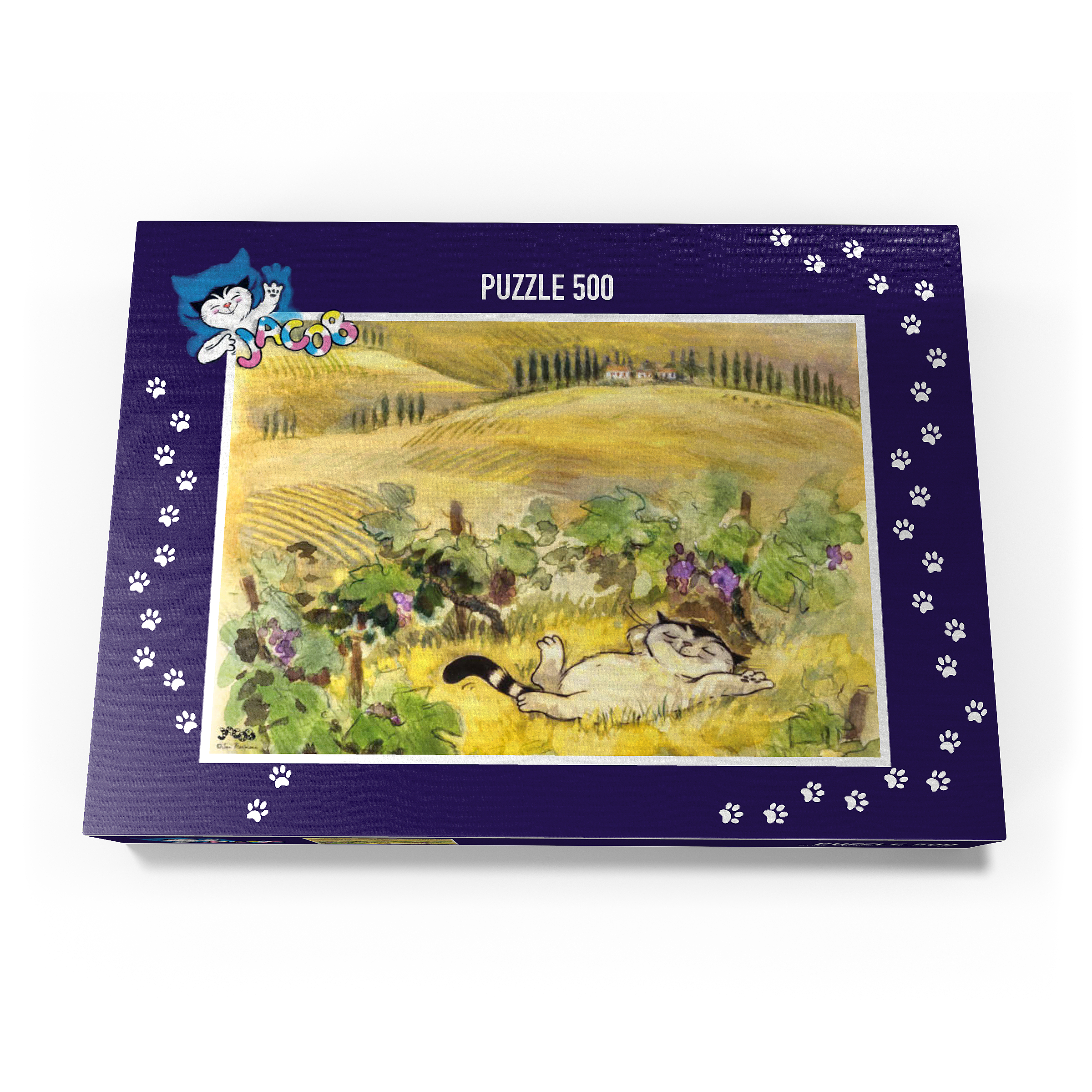 Puzzle Jacob - Break must be!