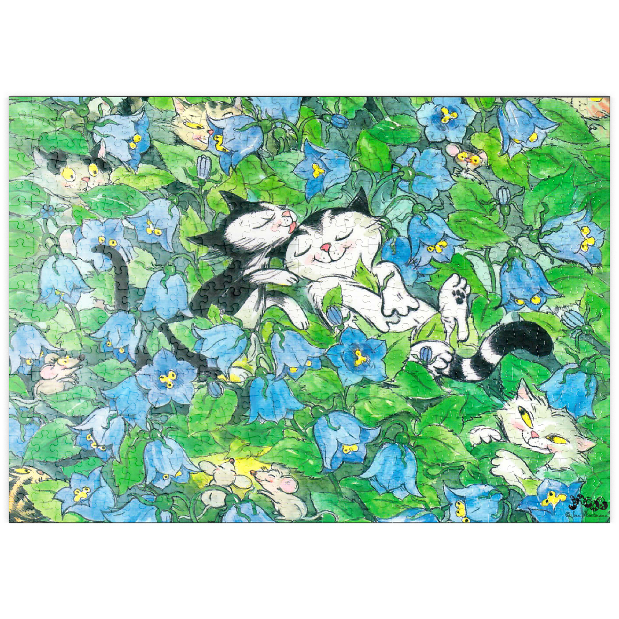 Puzzle Jacob - It should remain a secret!