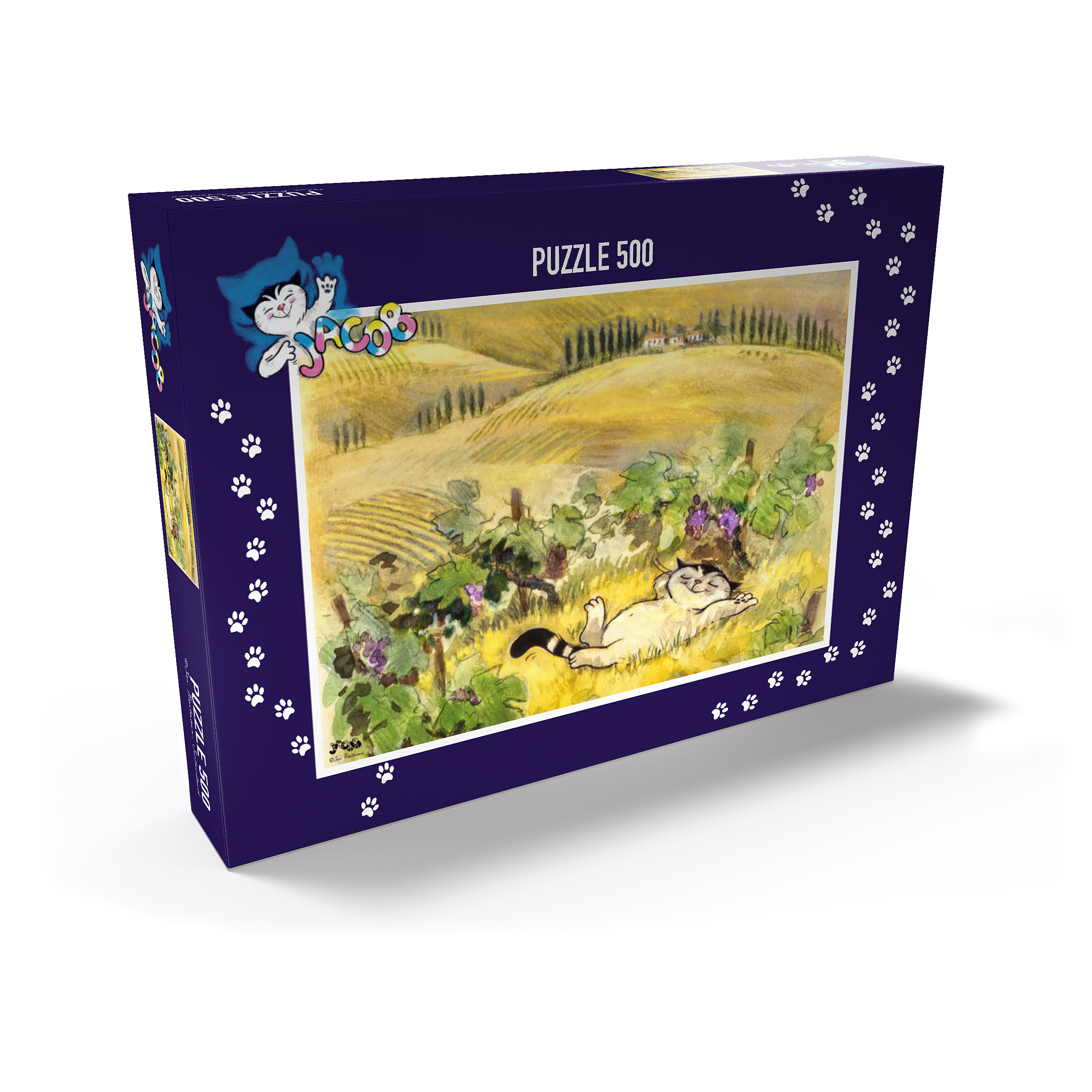Puzzle Jacob - Break must be!