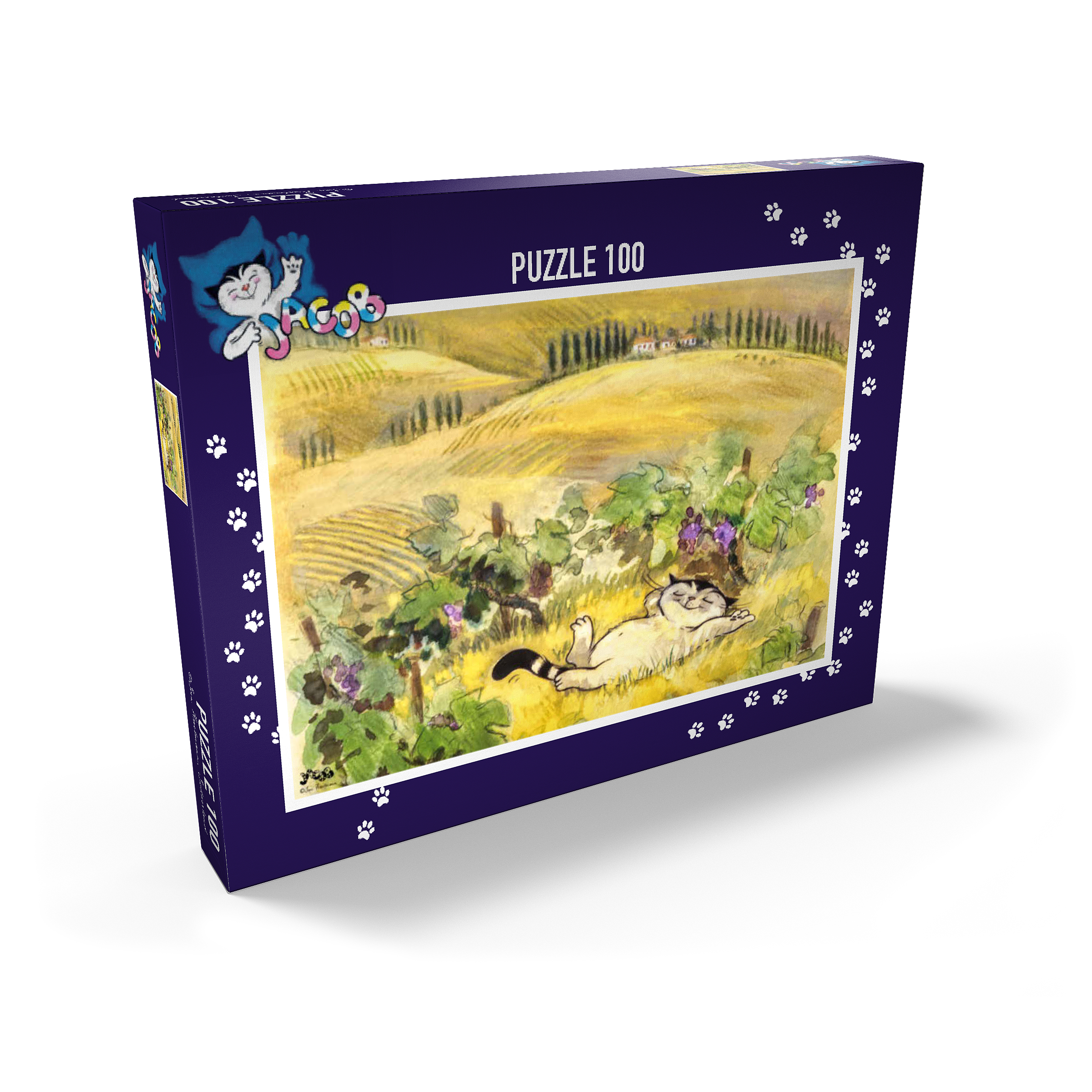 Puzzle Jacob - Break must be!