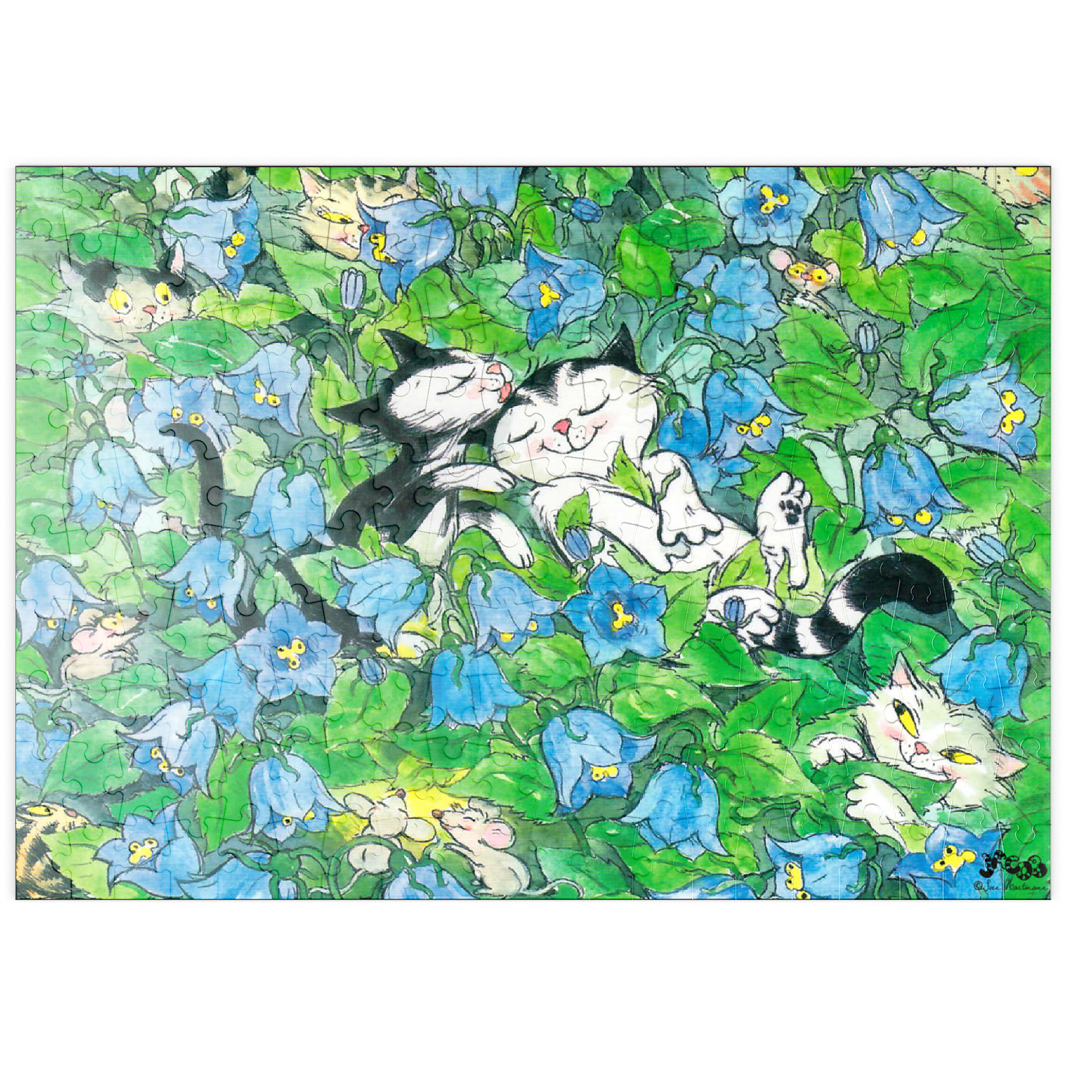 Puzzle Jacob - Es soll ein Geheimnis bleiben!