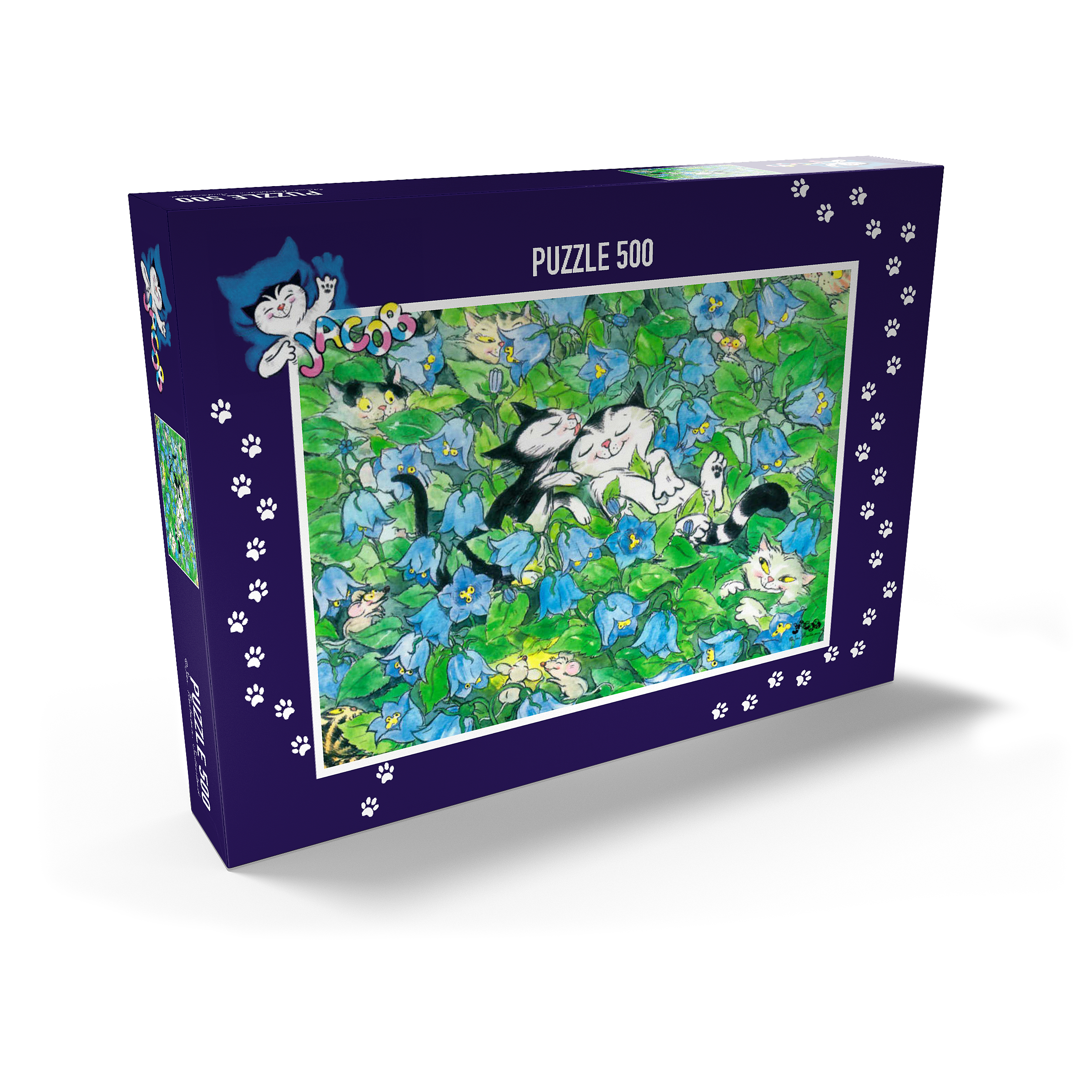 Puzzle Jacob - It should remain a secret!