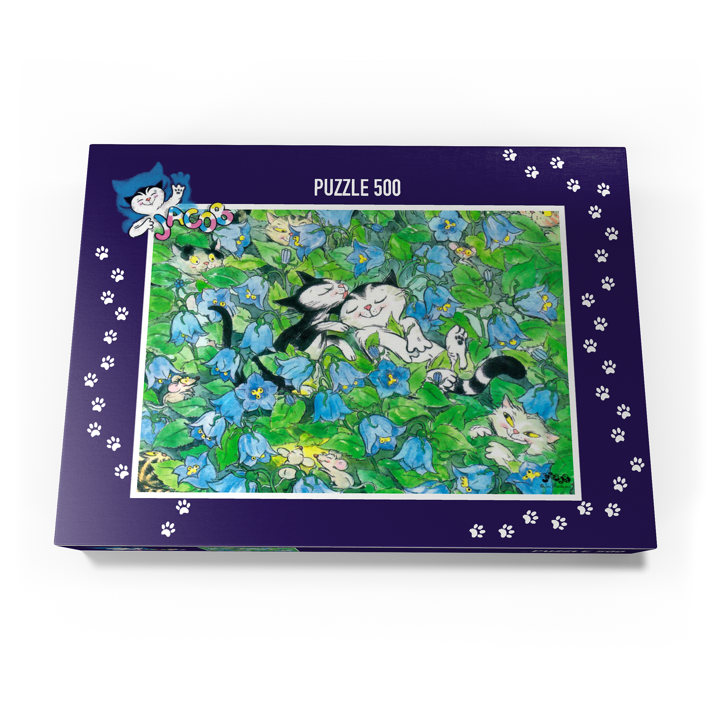 Puzzle Jacob - It should remain a secret!