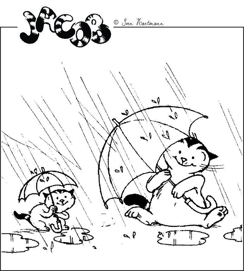 Regenschirm