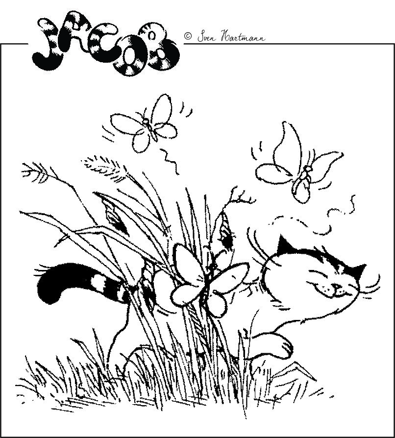 Schmetterlinge